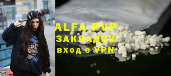 гашик Алексин