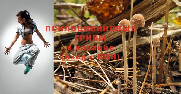 MESCALINE Армянск