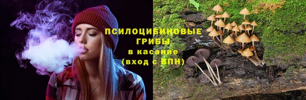 молекула духа Баксан