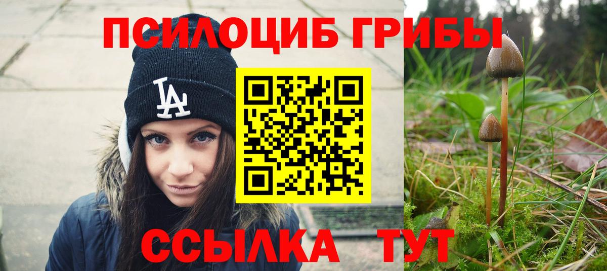 Галлюциногенные грибы MAGIC MUSHROOMS Заинск
