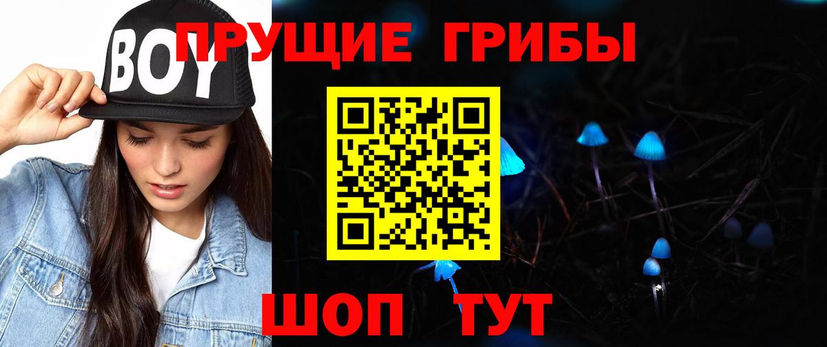 Галлюциногенные грибы Psilocybe  Вход с VPN  Заинск 