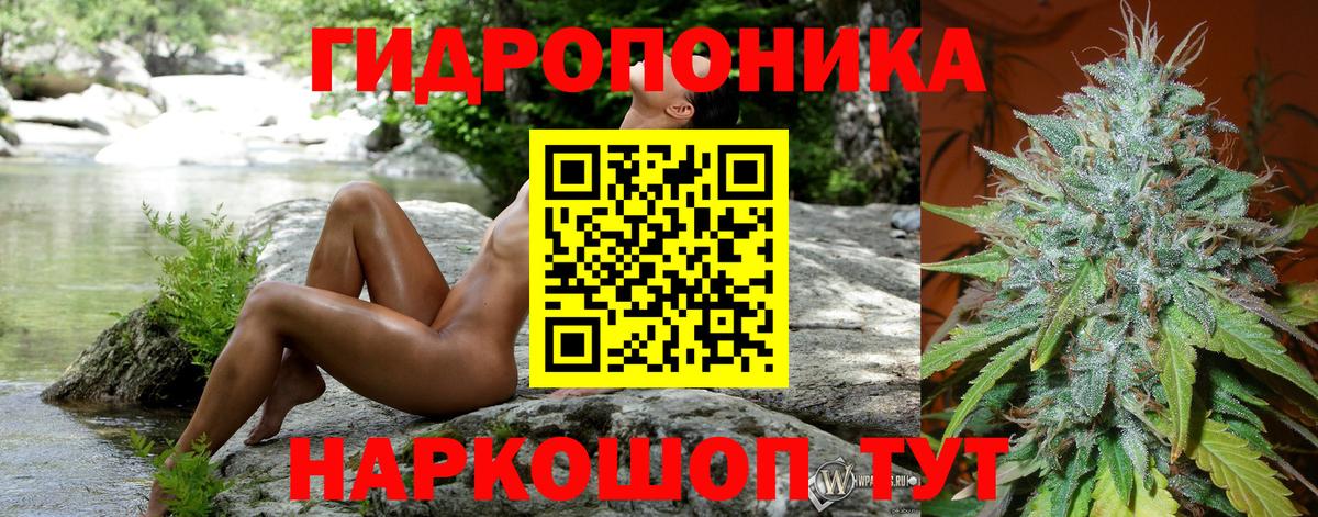 Шишки марихуана план Заинск